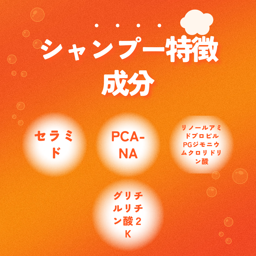 エトゥーラエクラシャンプーの特長成分