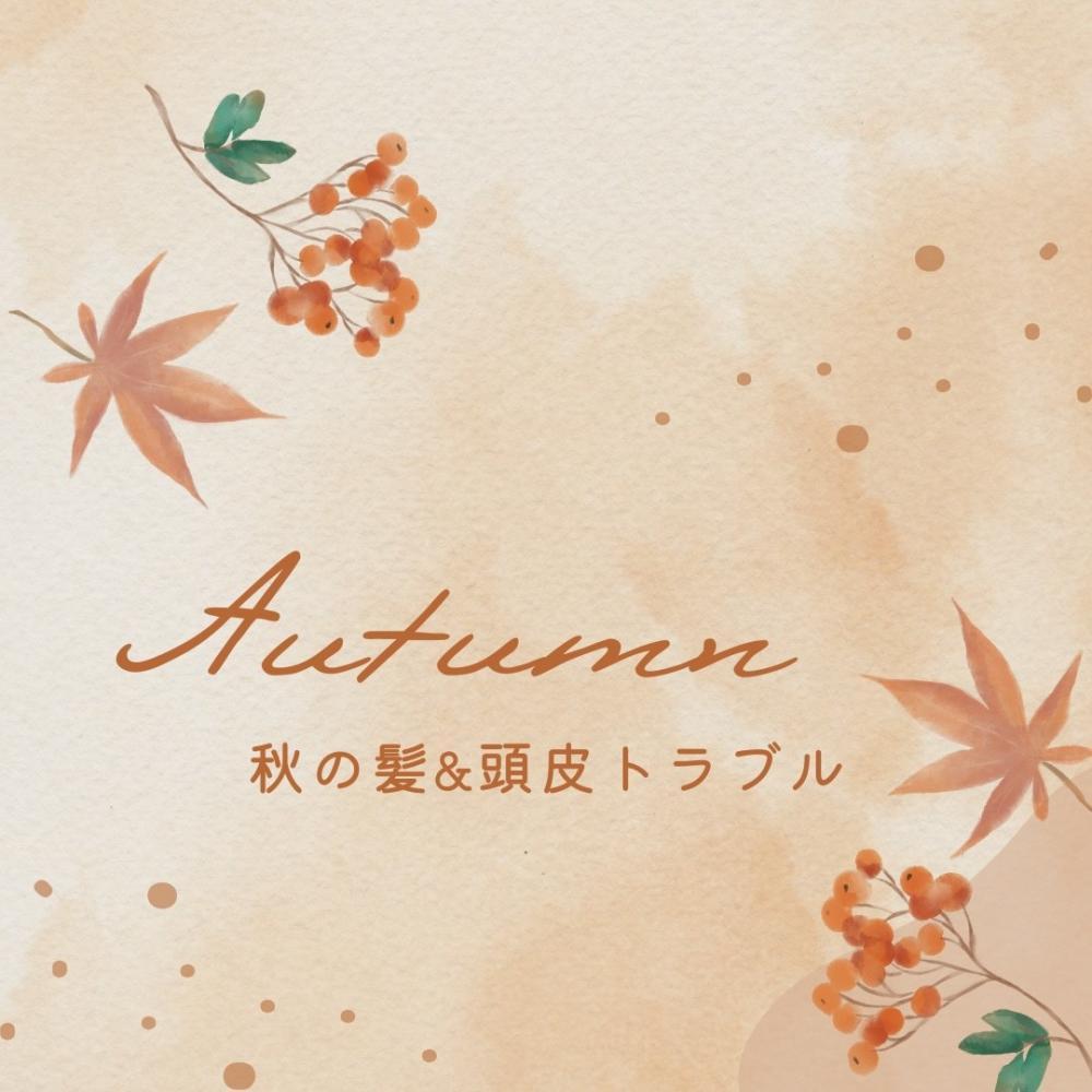 秋の髪＆頭皮トラブル