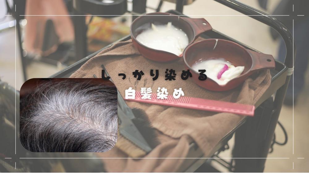 従来の白髪染め、しっかり染める薬とは