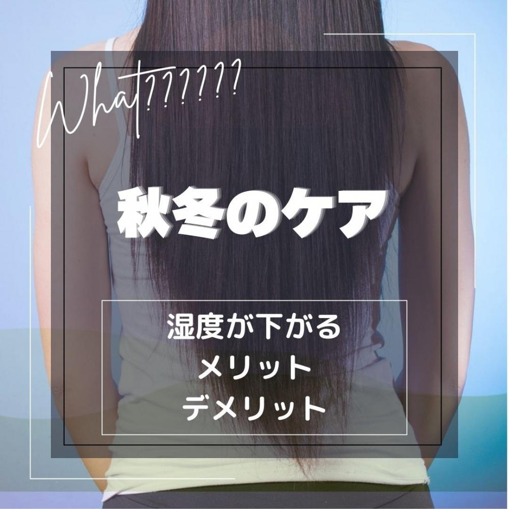 秋冬のヘアケアのすすめ。