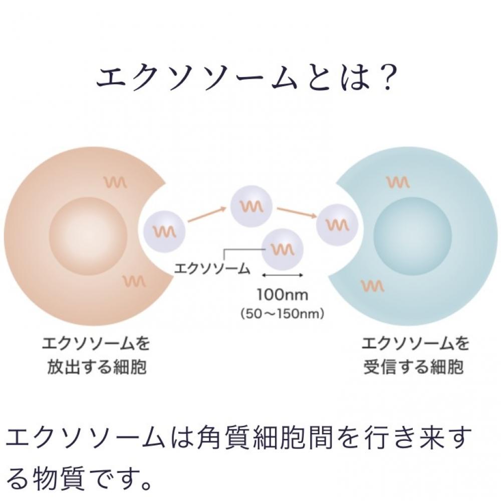 タイトニングミスト ブライト 特長①