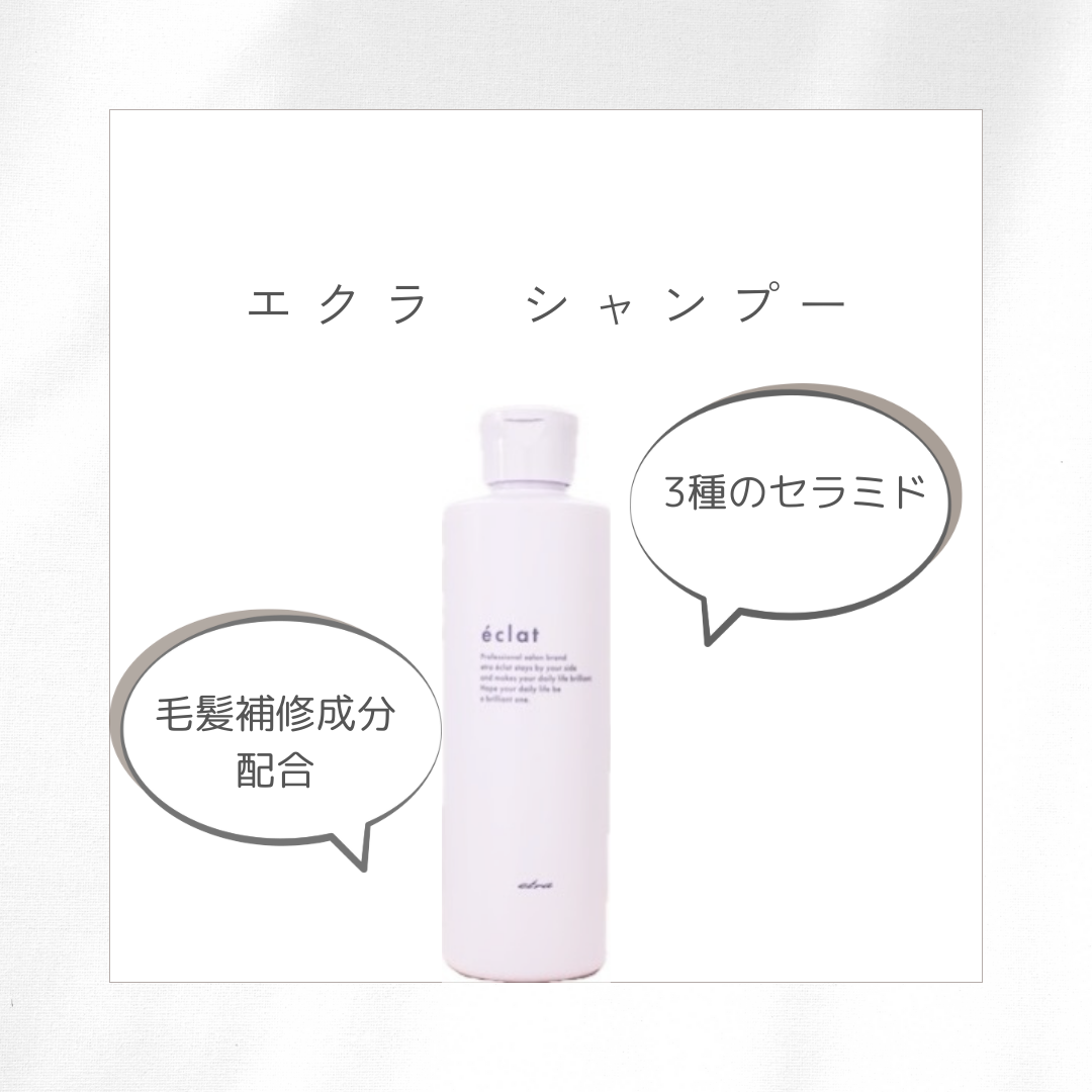 エクラ　シャンプー