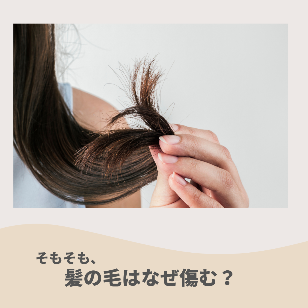 なぜ髪が傷むの？