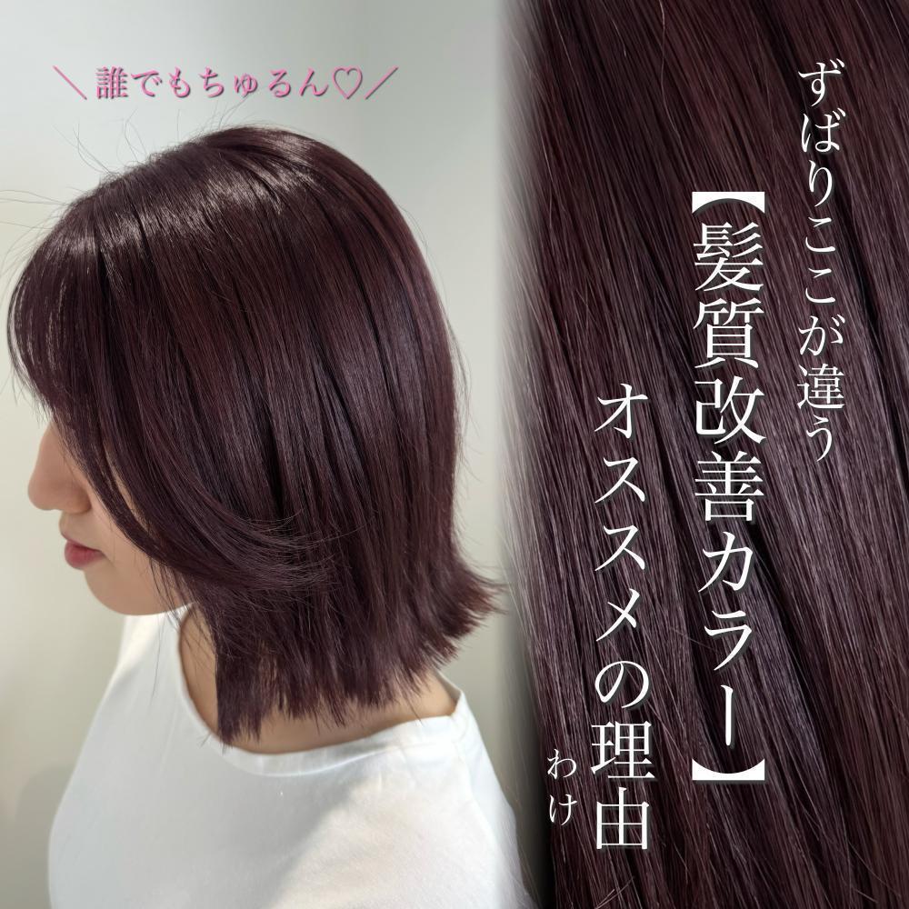 美容師が【髪質改善カラー】を本当にオススメしたいワケ