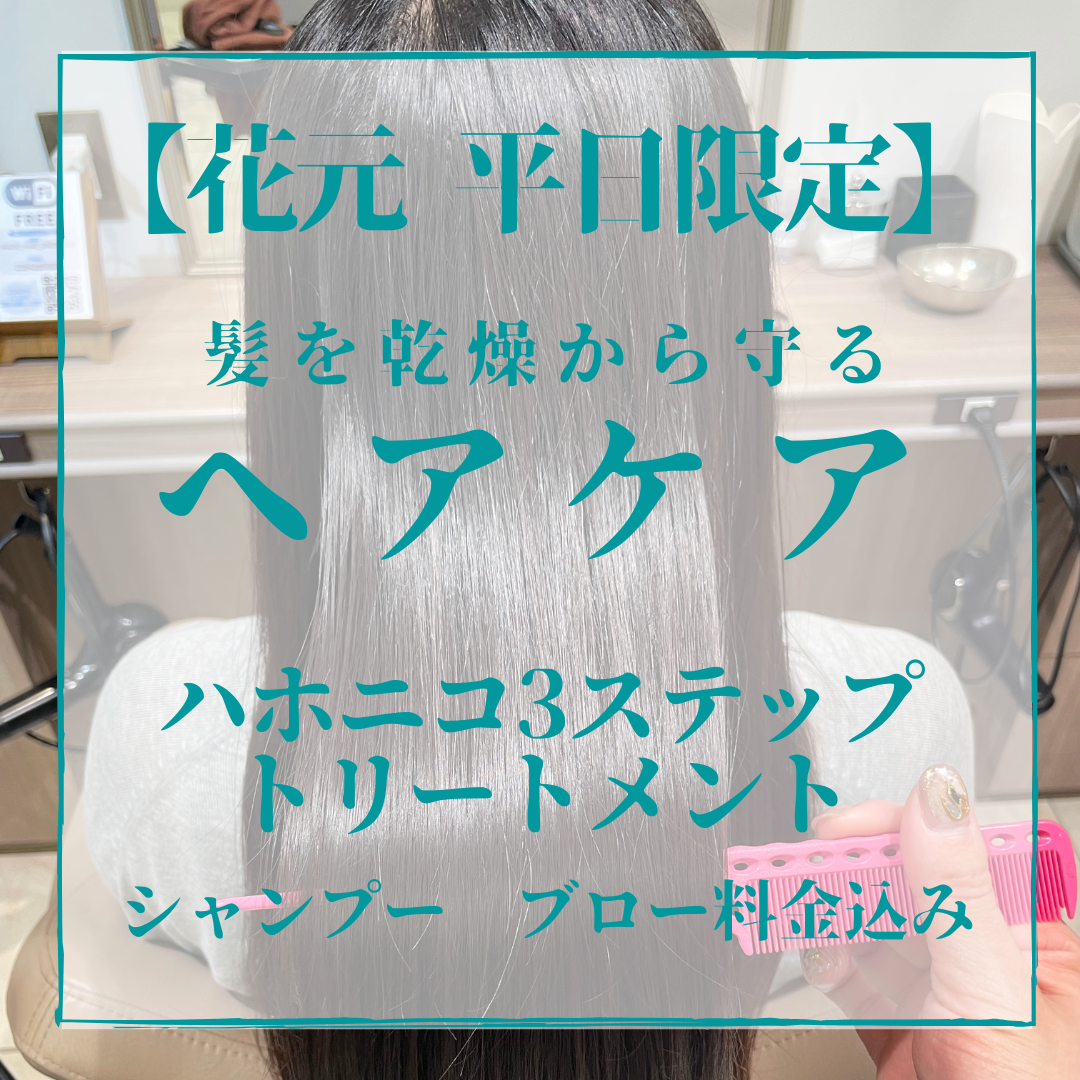【12月限定】平日クーポン♪