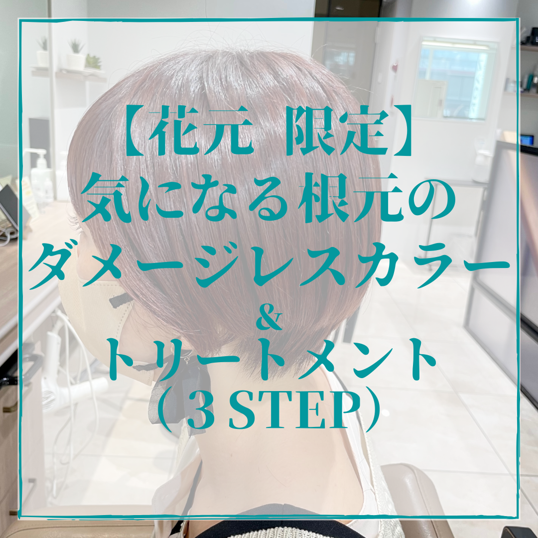 12月平日限定クーポン！【リタッチ&ハホニコトリートメント】　