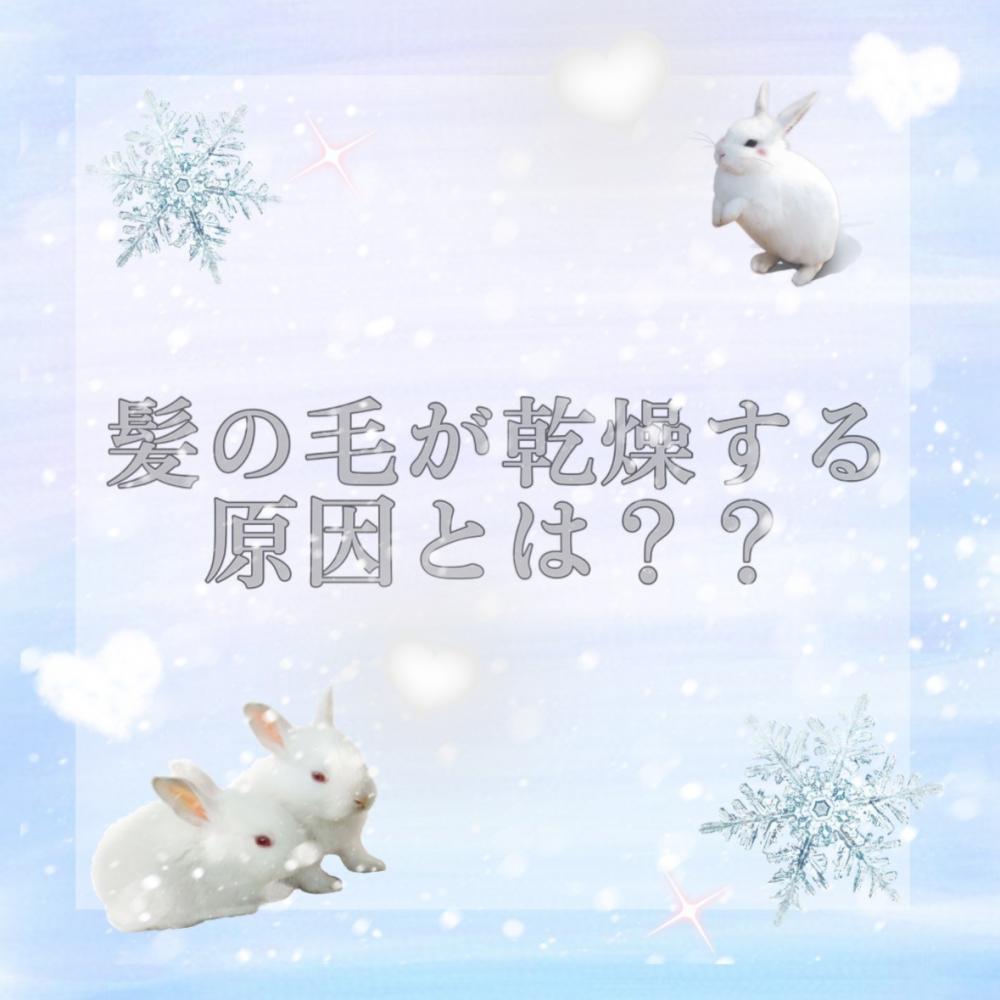 髪が乾燥する原因とは？