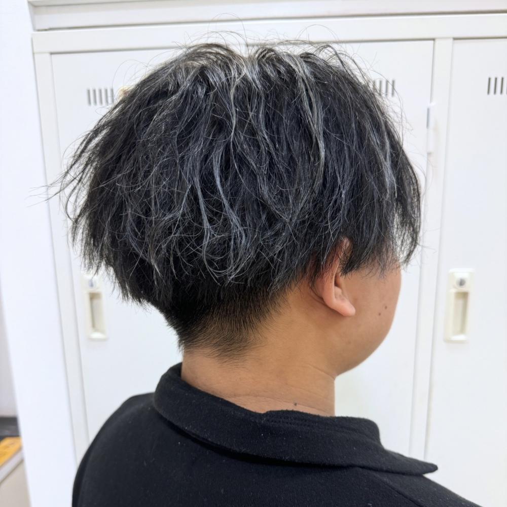 シルバーメッシュ
