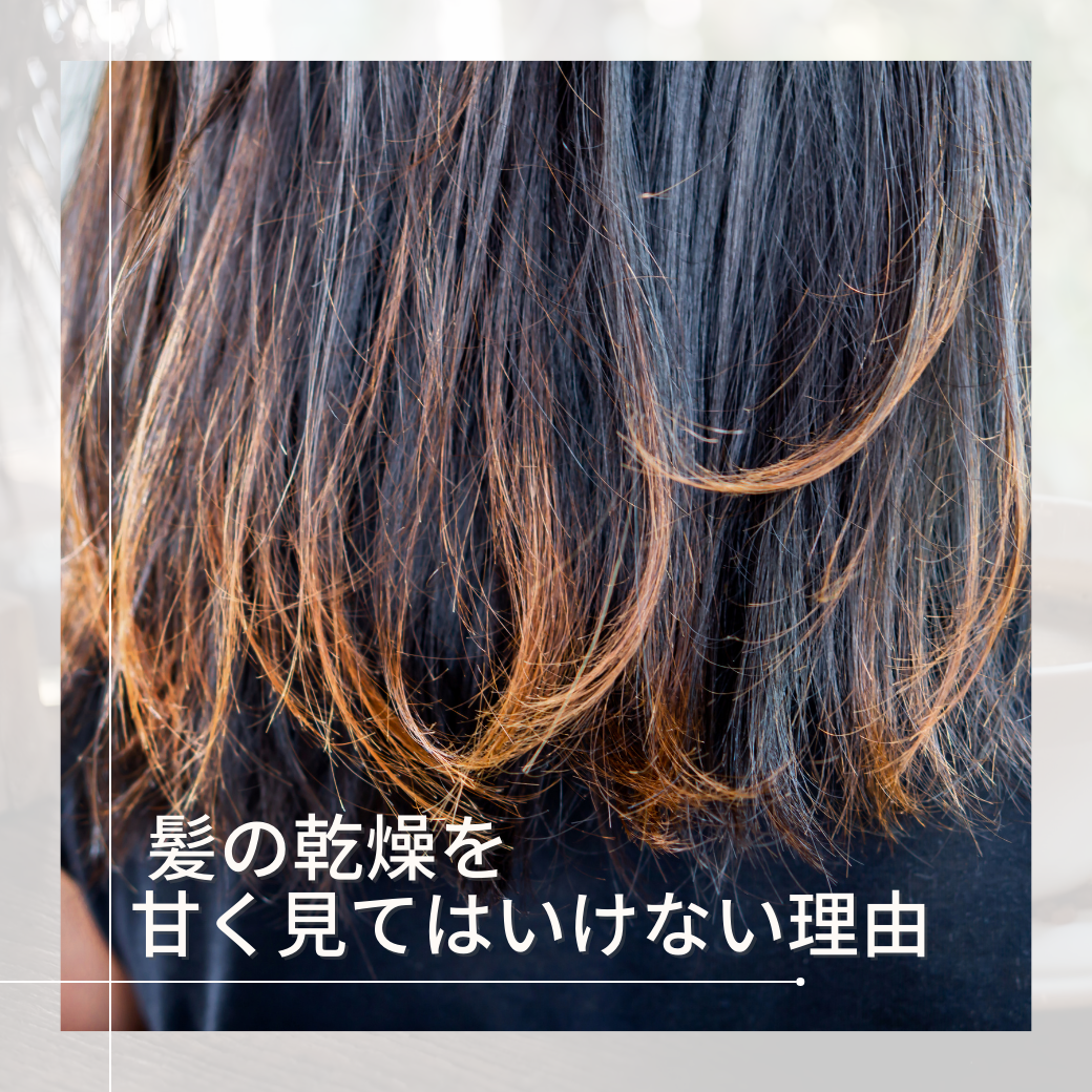 放っておくとどうなるの？ 髪の乾燥を甘く見てはいけない理由