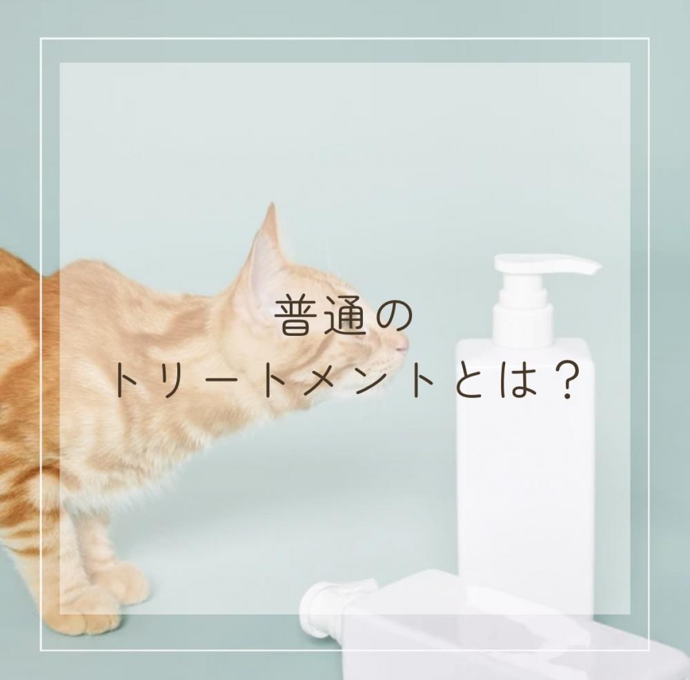 普通のトリートメントとは？