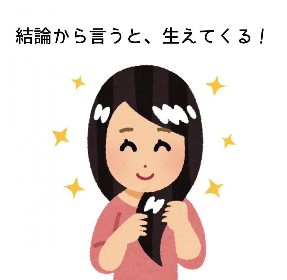 結論から言うと、生えてくる！