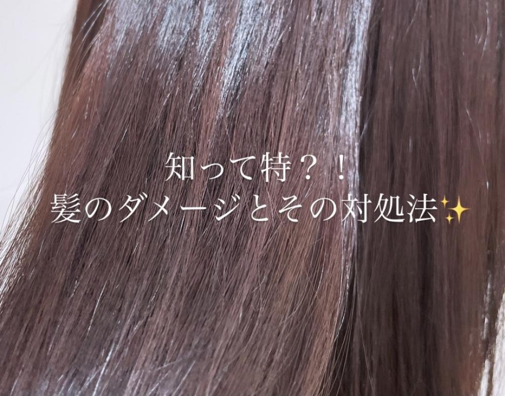 意外と知らない？！髪の毛のこと✨