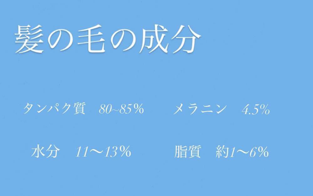 そもそも髪の毛って何でできてるの？