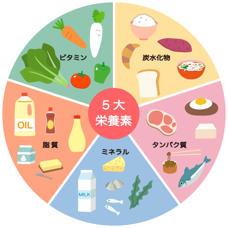 髪の成長を助ける栄養素