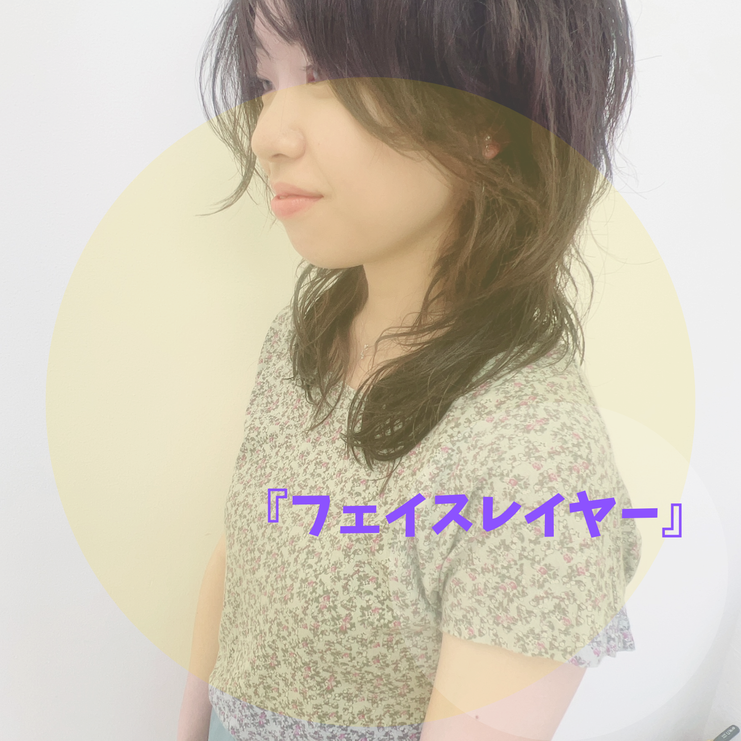 『フェイスレイヤー』
