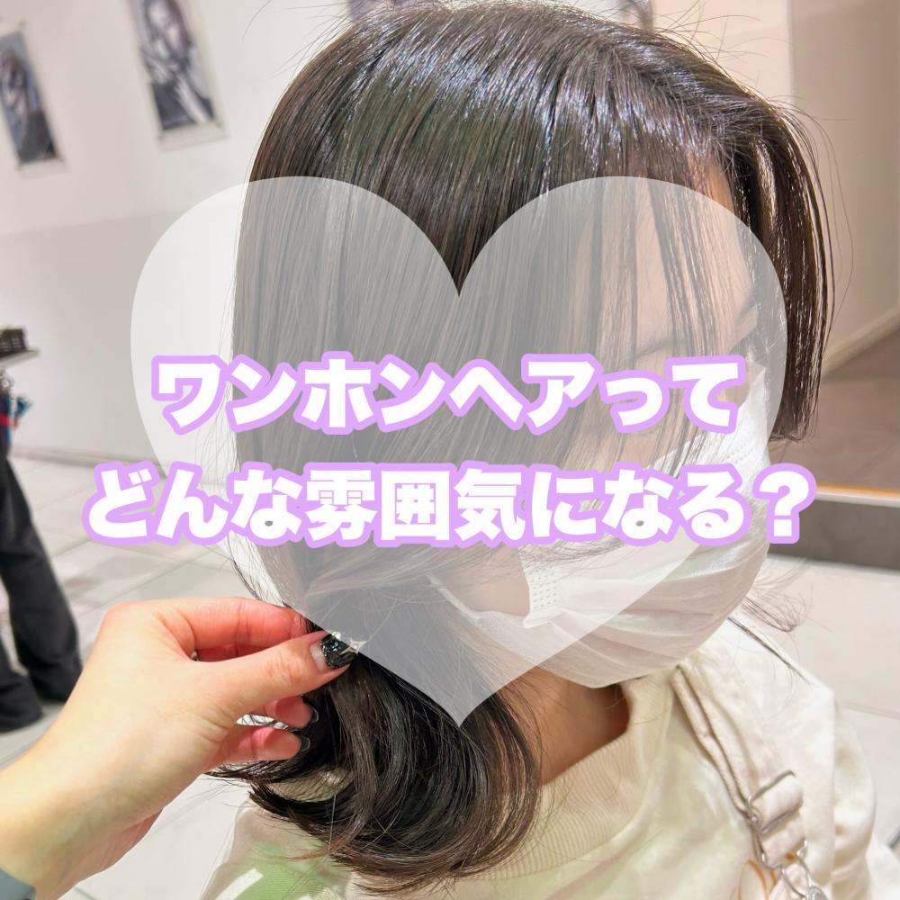 ワンホンヘアの特徴