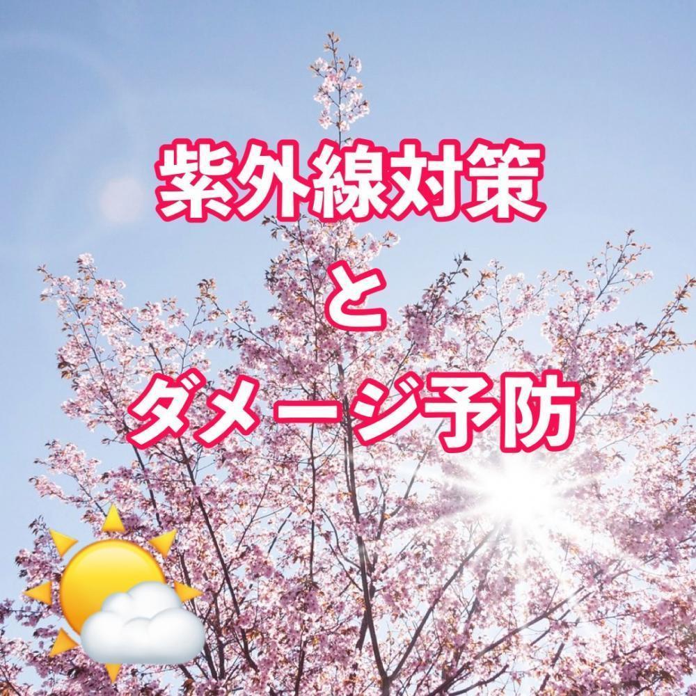 今から紫外線ケア！これを見たらすぐ対策！