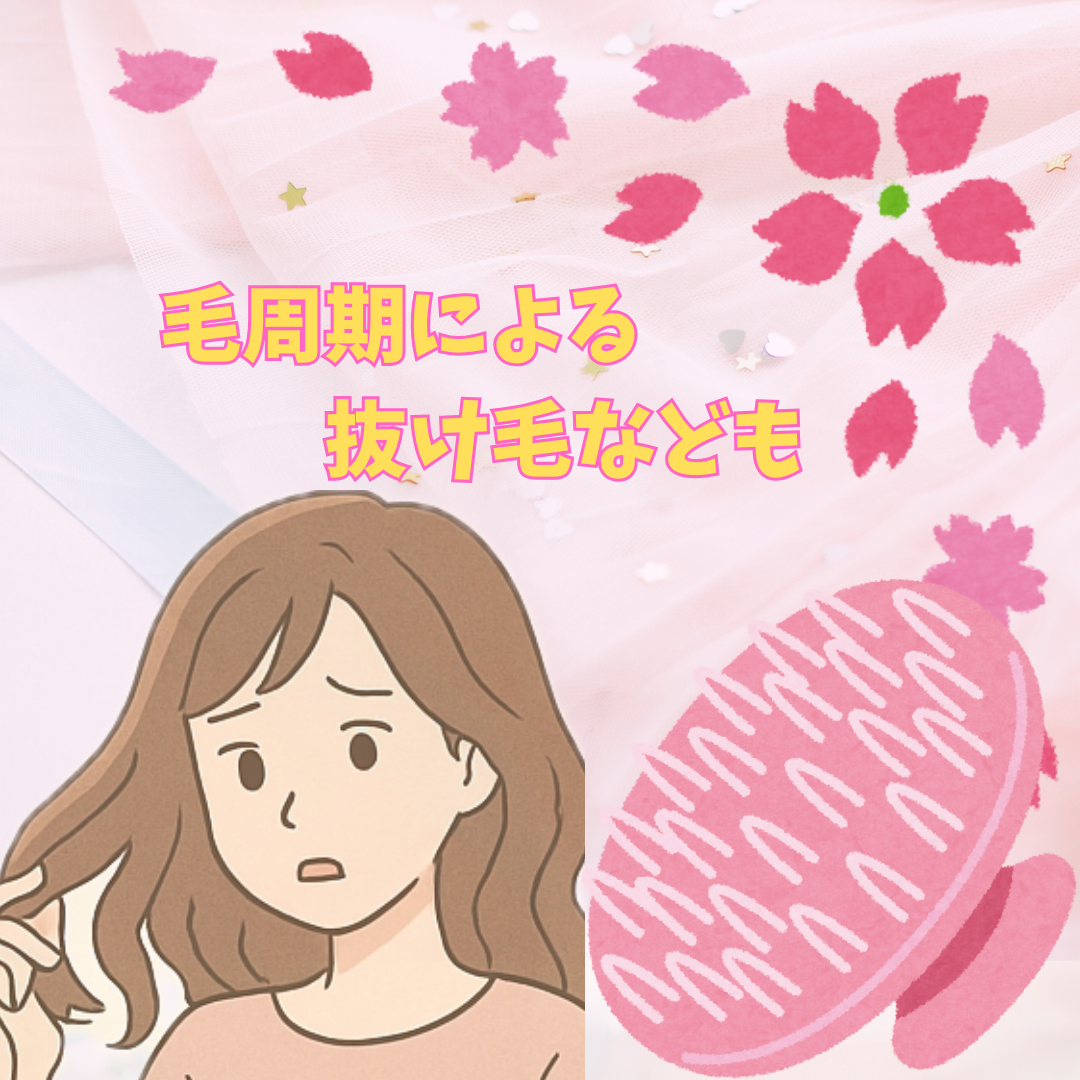 抜け毛が増える（春は自然に毛が生え変わる時期）