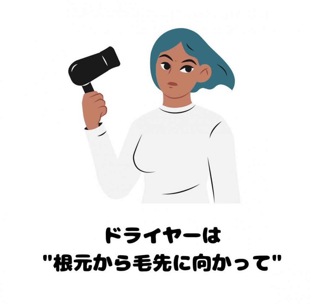 ドライヤーは”根元から毛先に向かって”