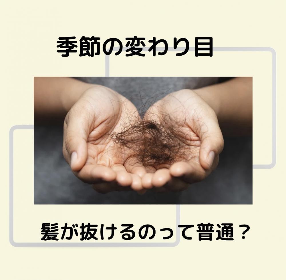 季節の変わり目、髪が抜けるのって普通？
