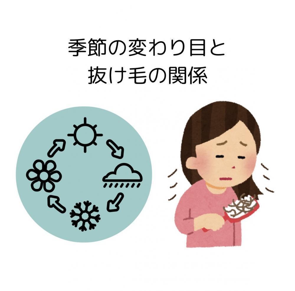 季節の変わり目と抜け毛の関係