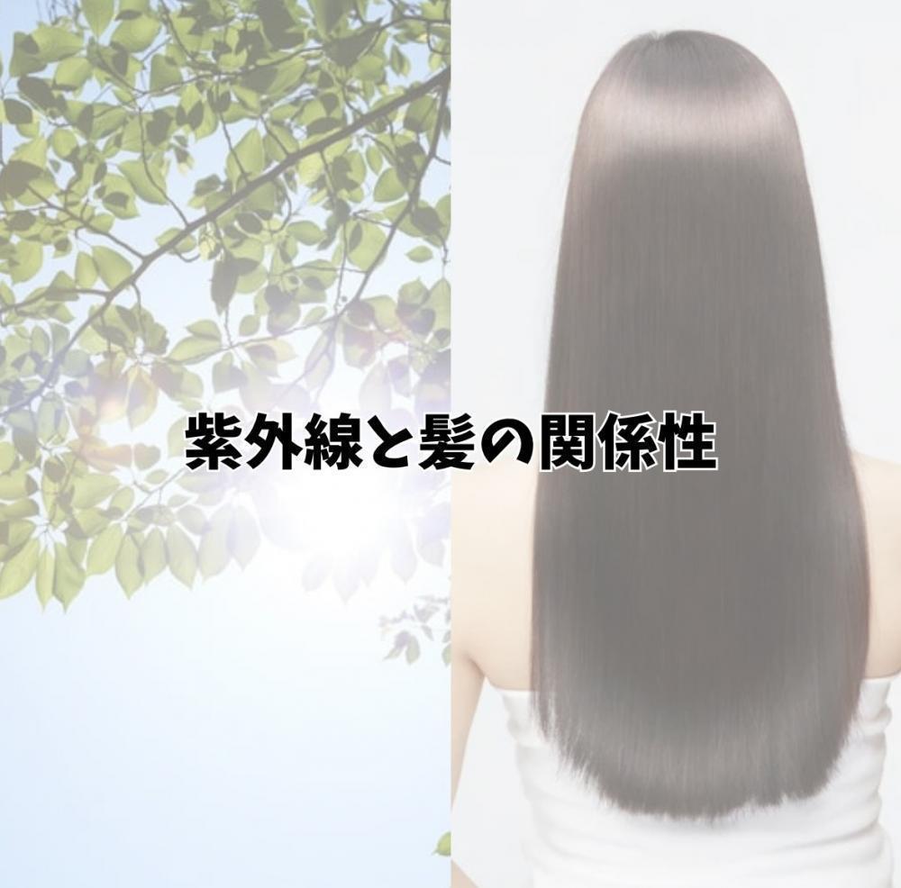 紫外線と髪の関係性