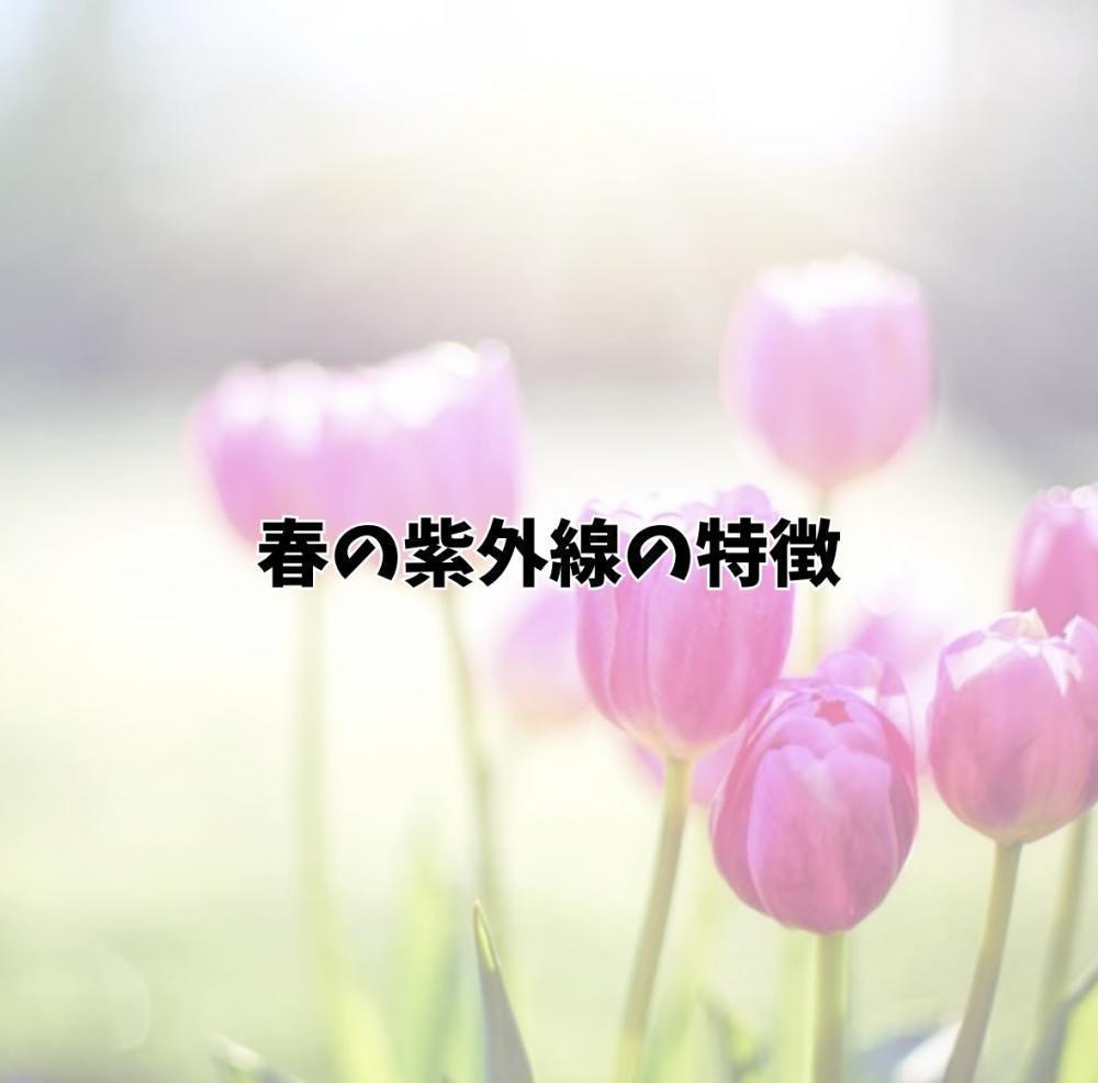 春の紫外線の特徴