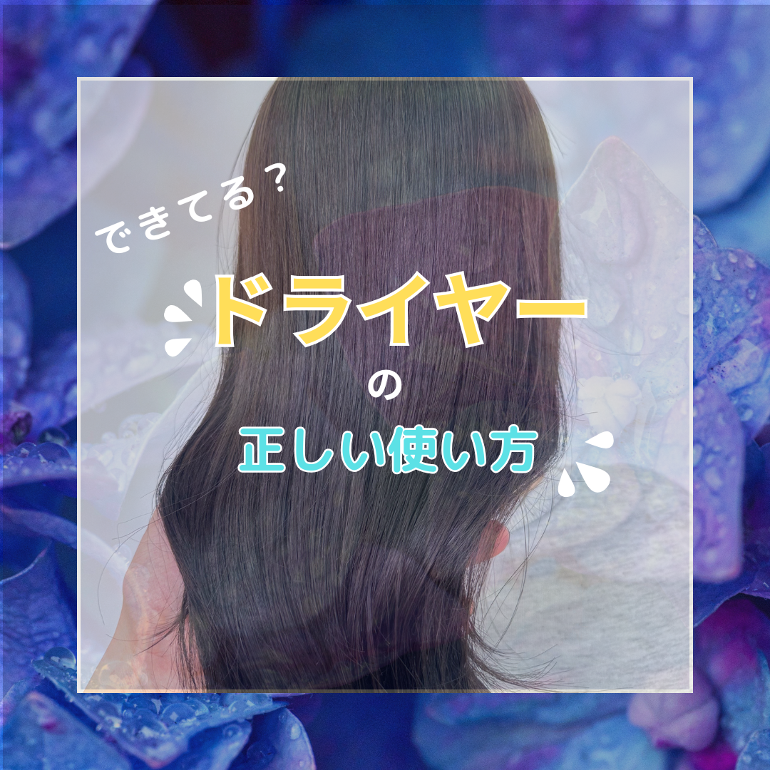 ドライヤーでしっかり乾かす