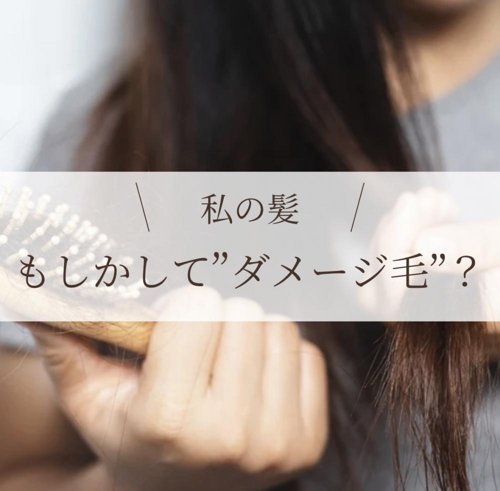私の髪、もしかして”ダメージ毛”？