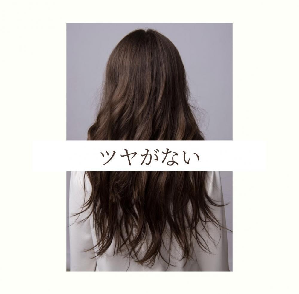ツヤがない。むしろ、毛先が白っぽく見える