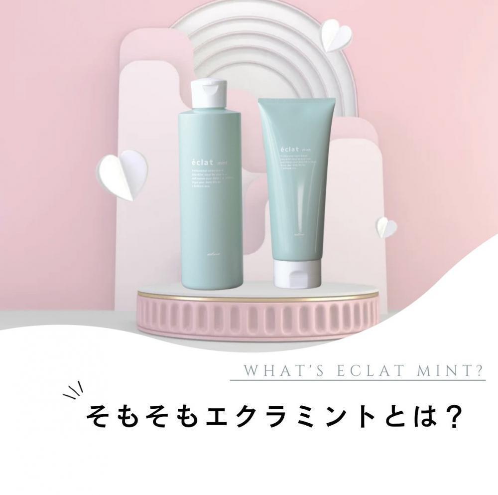 そもそもエクラミントとは？