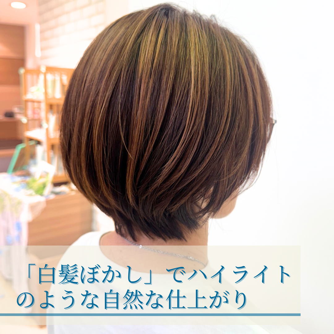 「白髪ぼかし」でハイライトのような自然な仕上がり