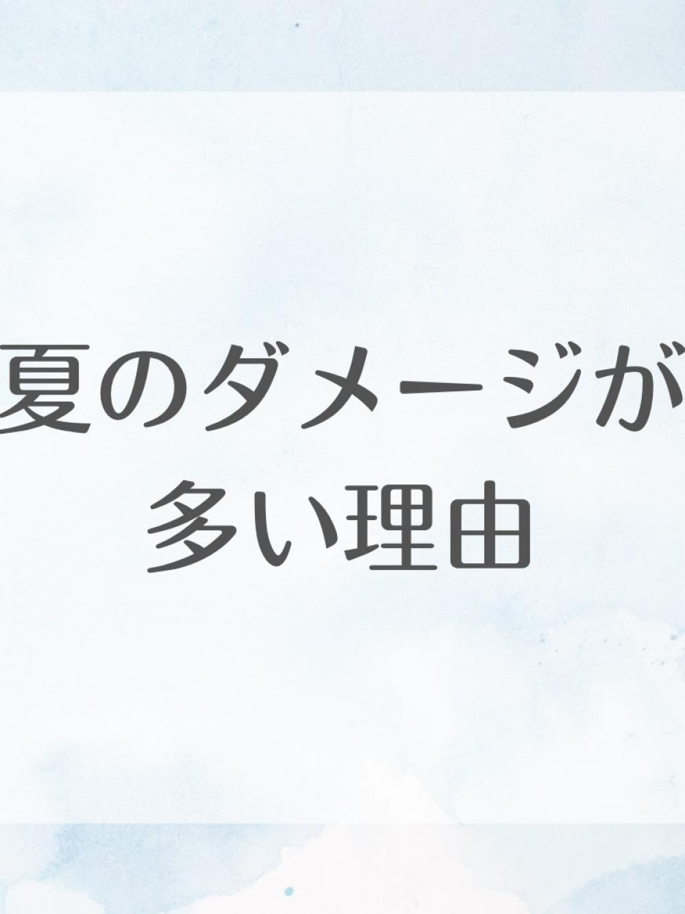 夏のダメージが多い理由