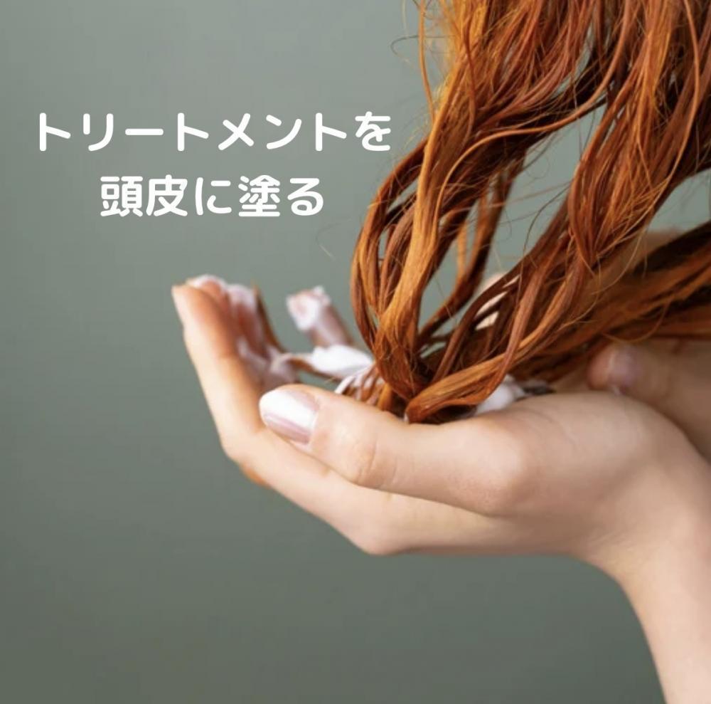 3、トリートメントを頭皮に塗る
