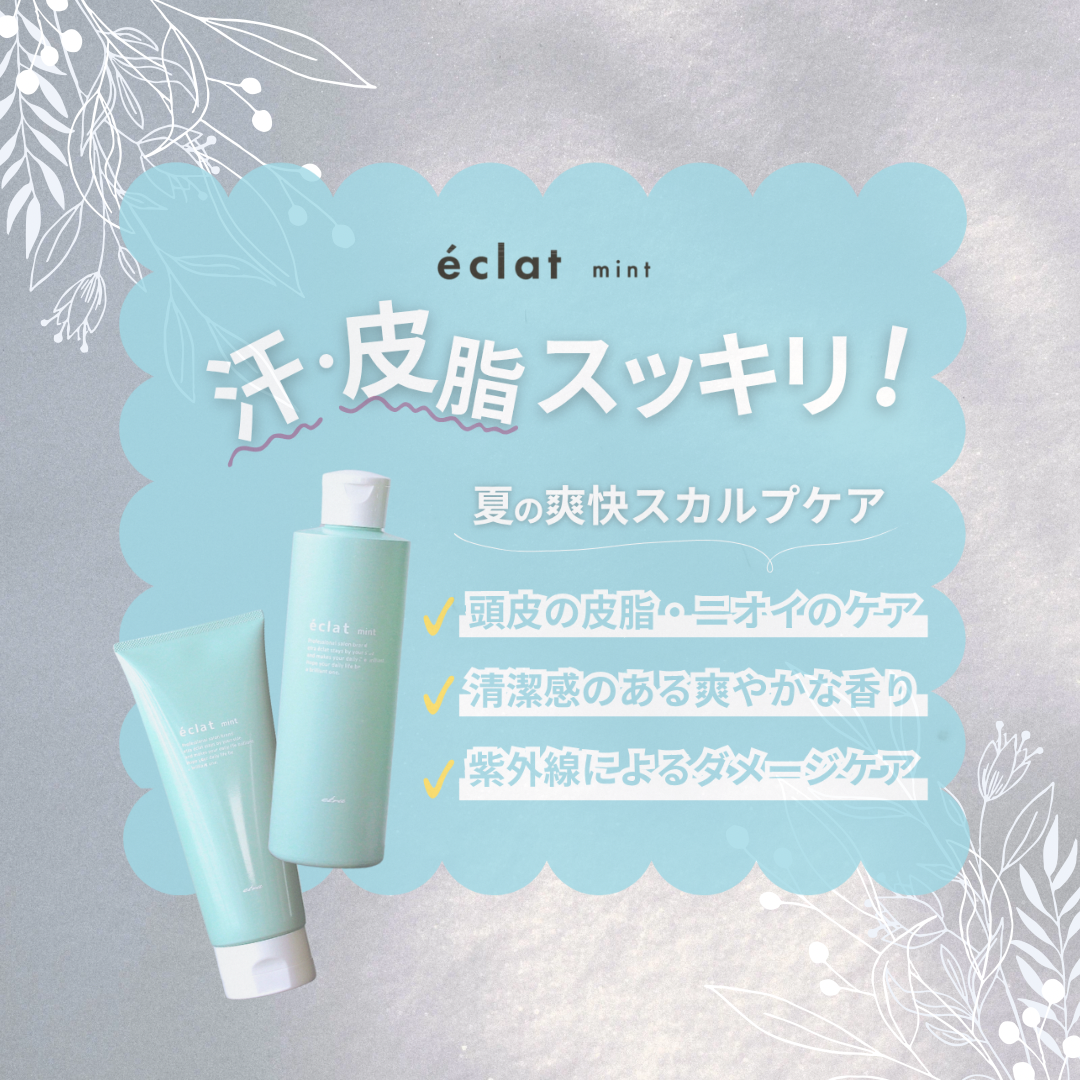 リューアル後の比較