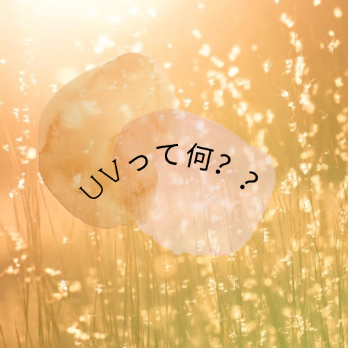 UVとは？