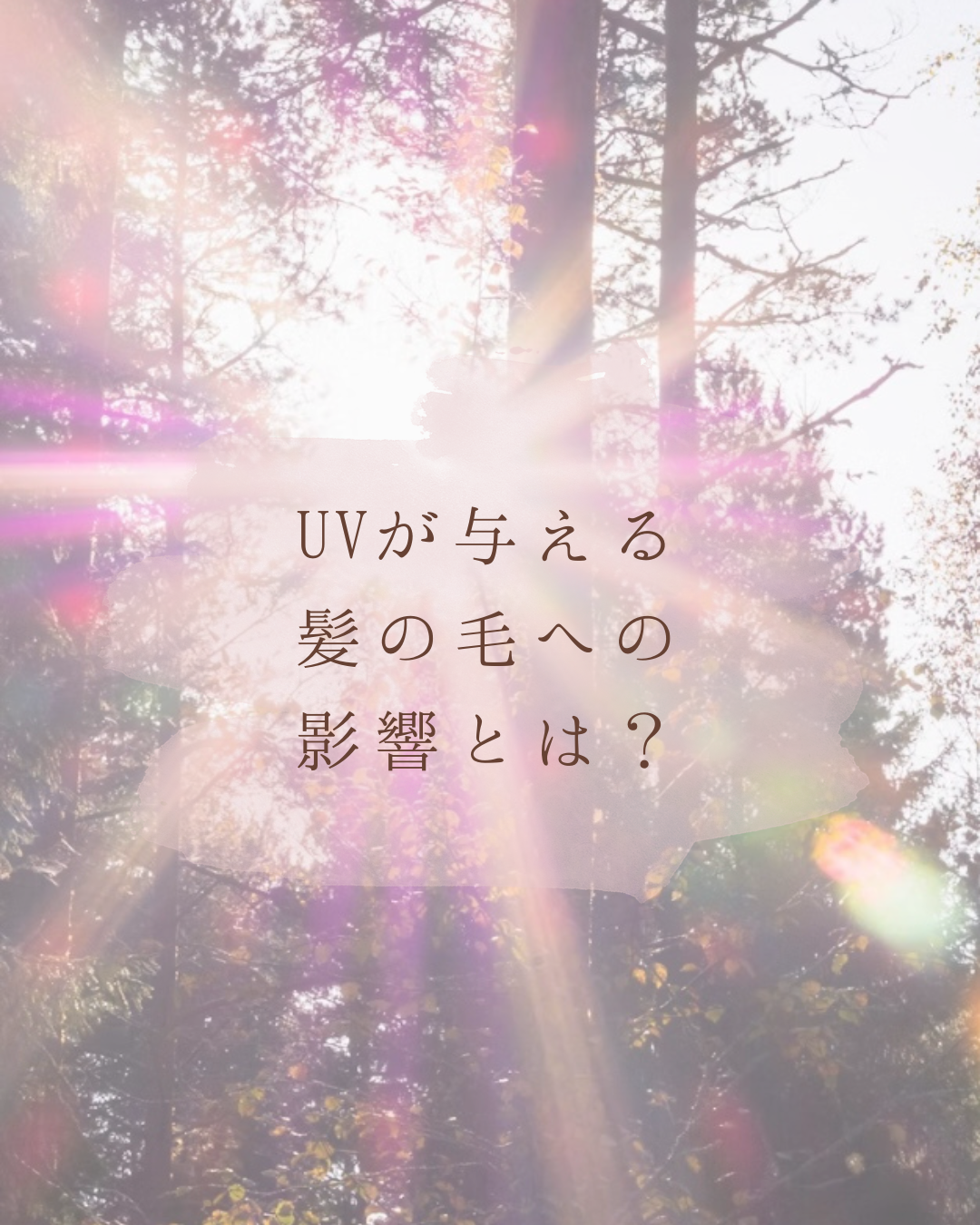 UV（紫外線）が与える髪への影響とは？