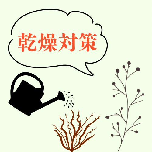 ③冷房の乾燥対策も忘れずに