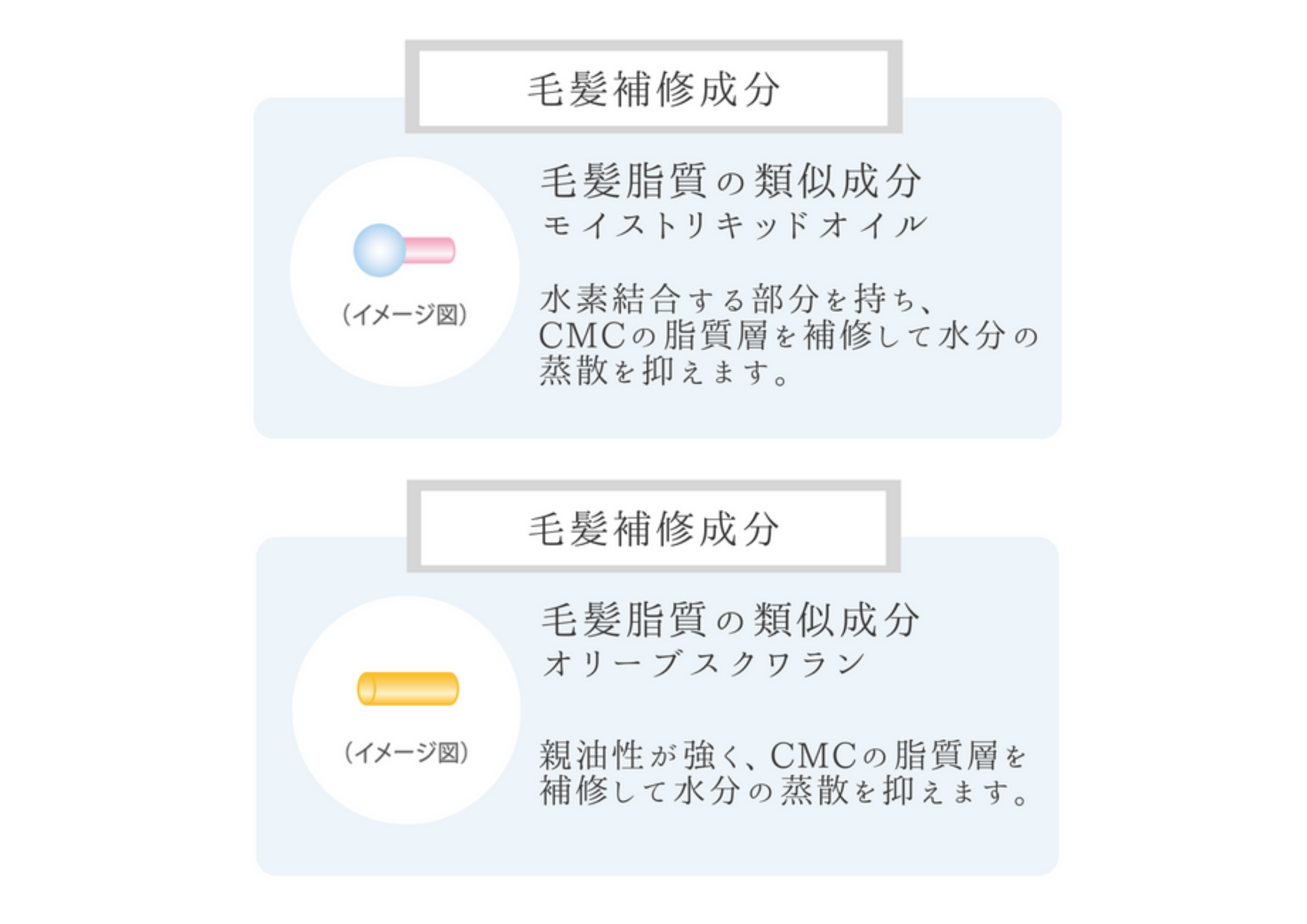 髪をうるおす補習成分の力