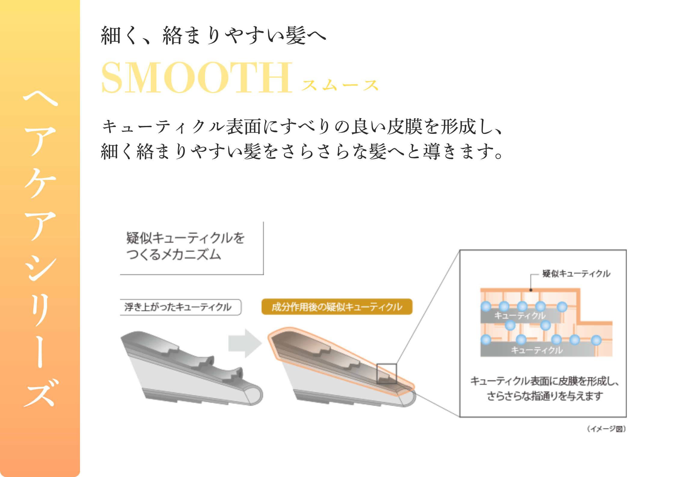 Aujua【スムース】細く、絡まりやすい髪へ