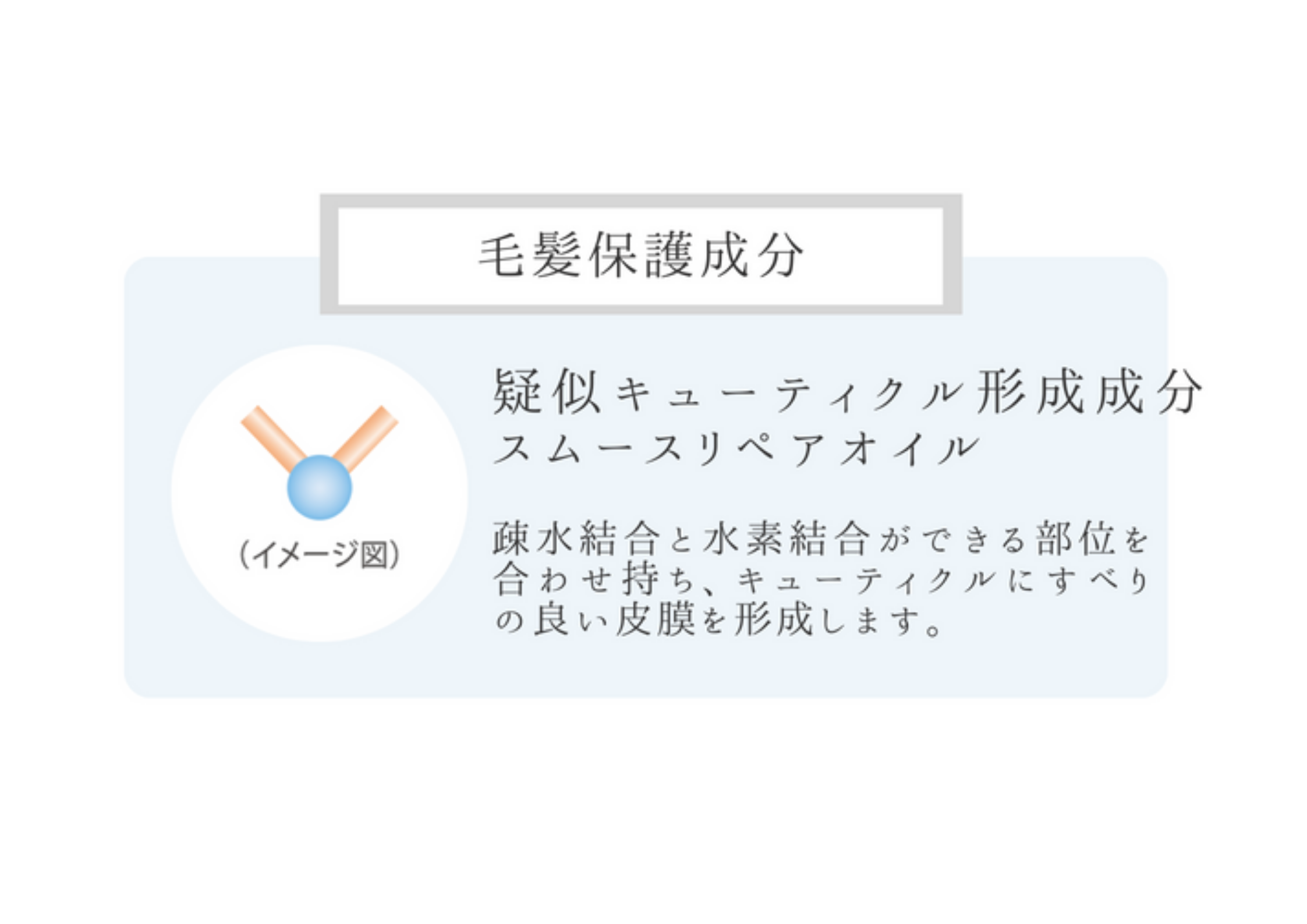 髪をうるおす補習成分の力