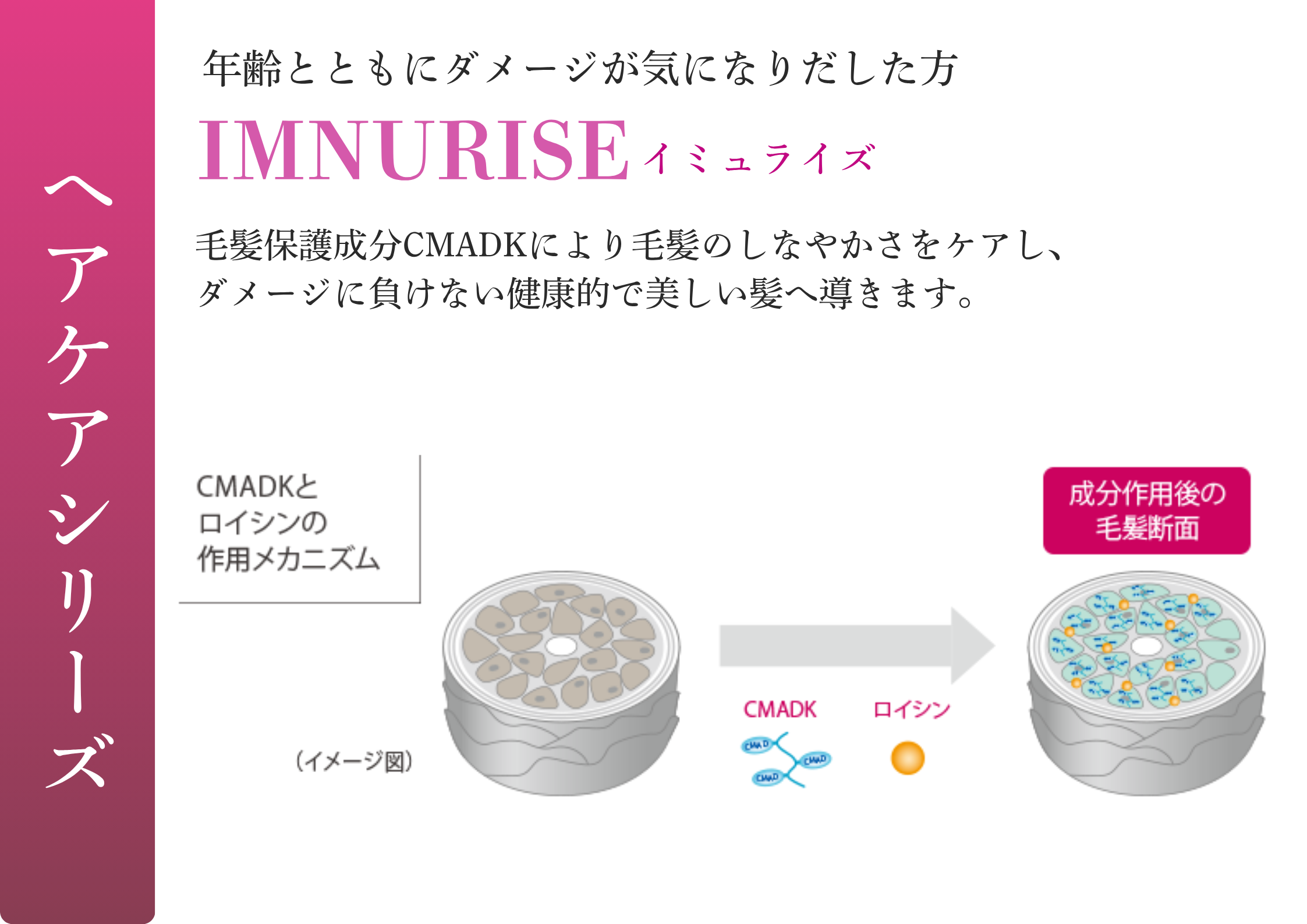 Aujua【イミュライズ】ダメージに負けない健康的な髪へ