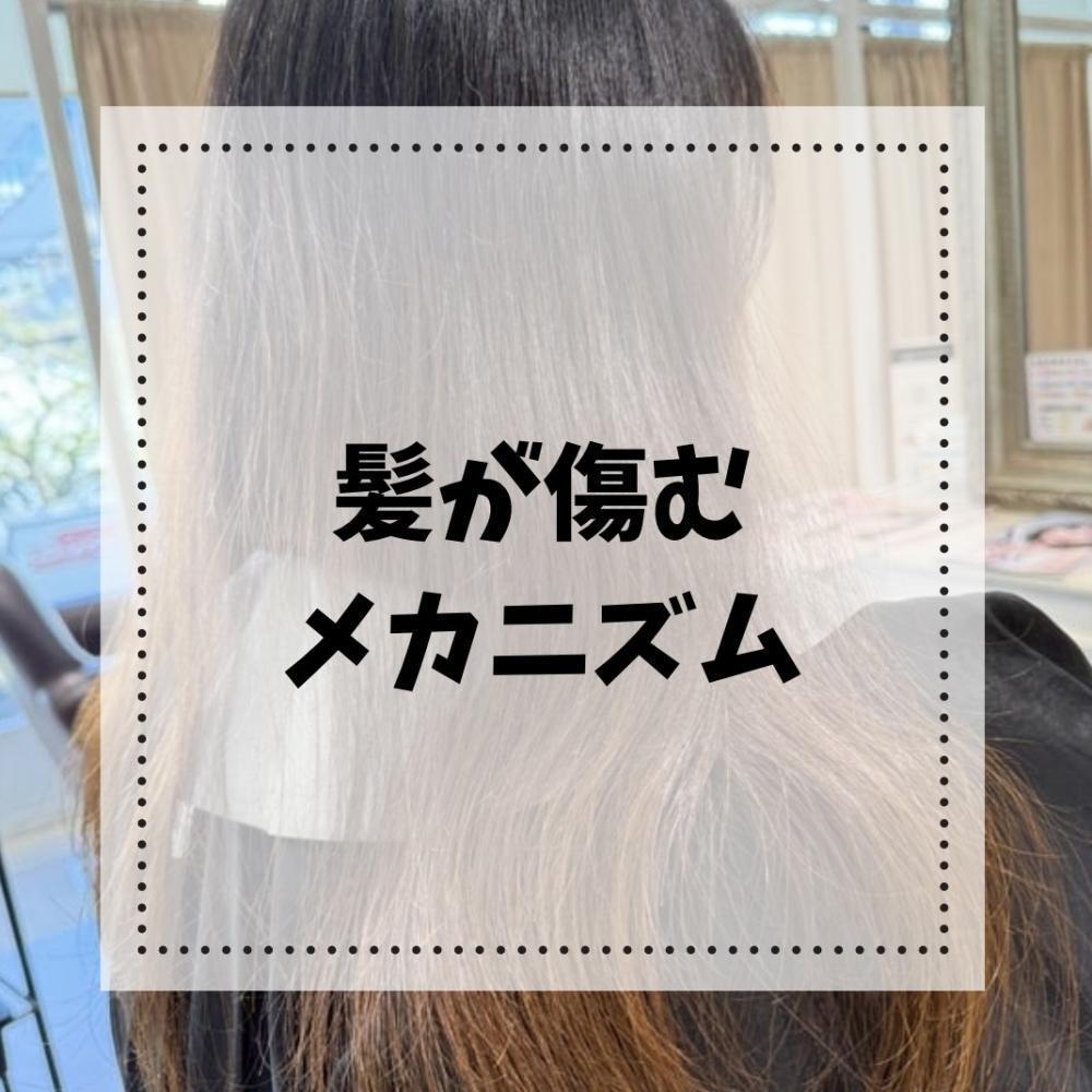 髪が傷むメカニズム