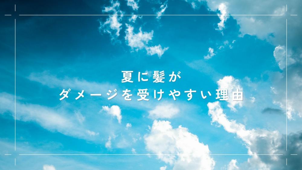 夏に髪がダメージを受けやすい理由