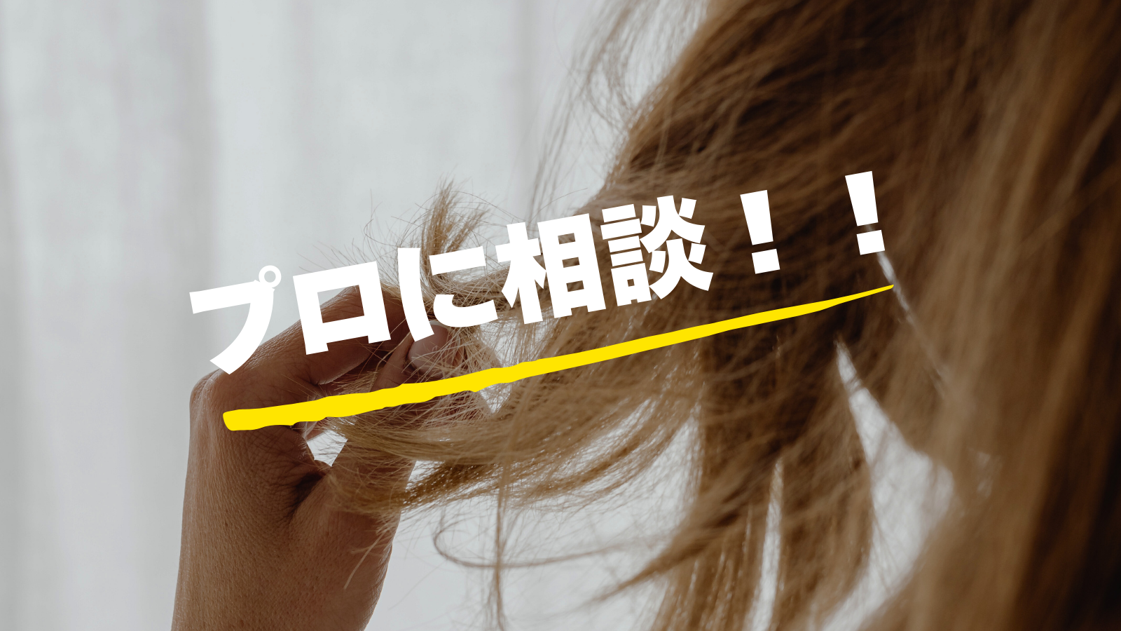 プロに相談してみるのも一つの方法