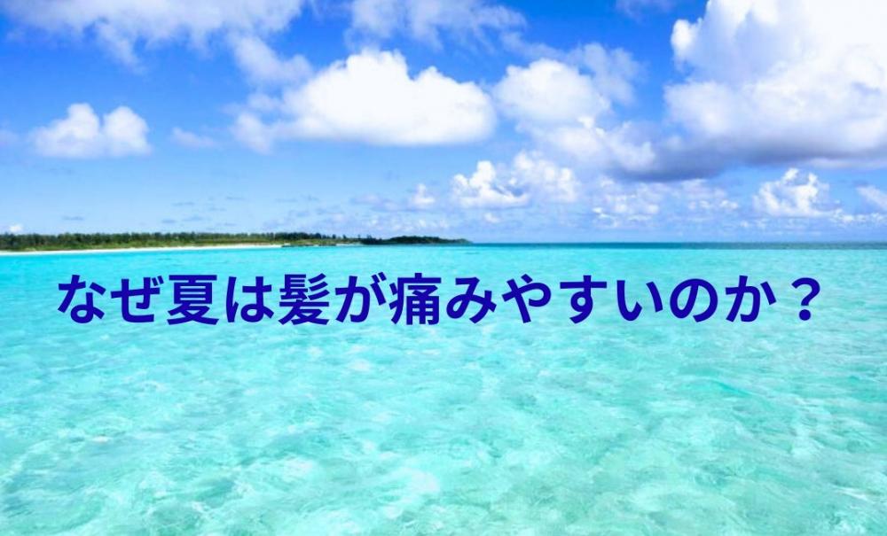 なぜ夏は髪が傷みやすいの？～紫外線と乾燥に負けないヘアケア方法～