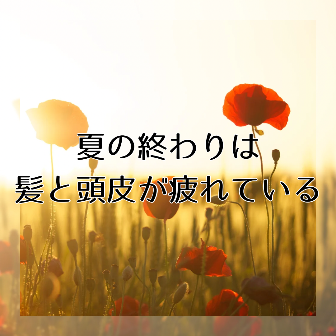 1. 夏の終わりは髪と頭皮が疲れている