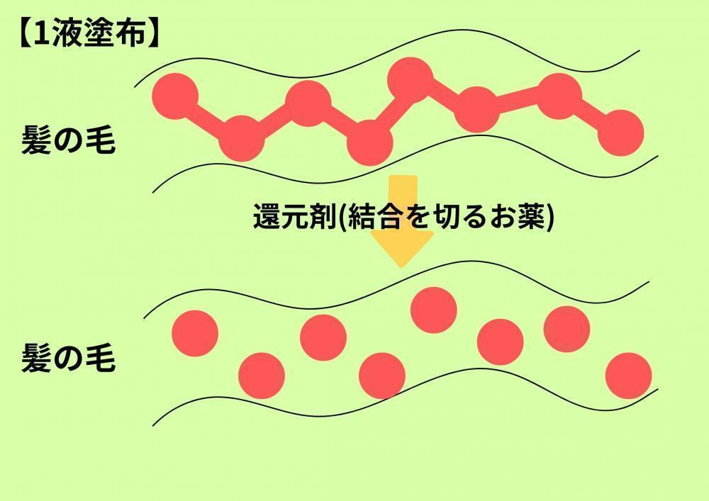 縮毛矯正の仕組み①薬剤で結合を切る（還元）
