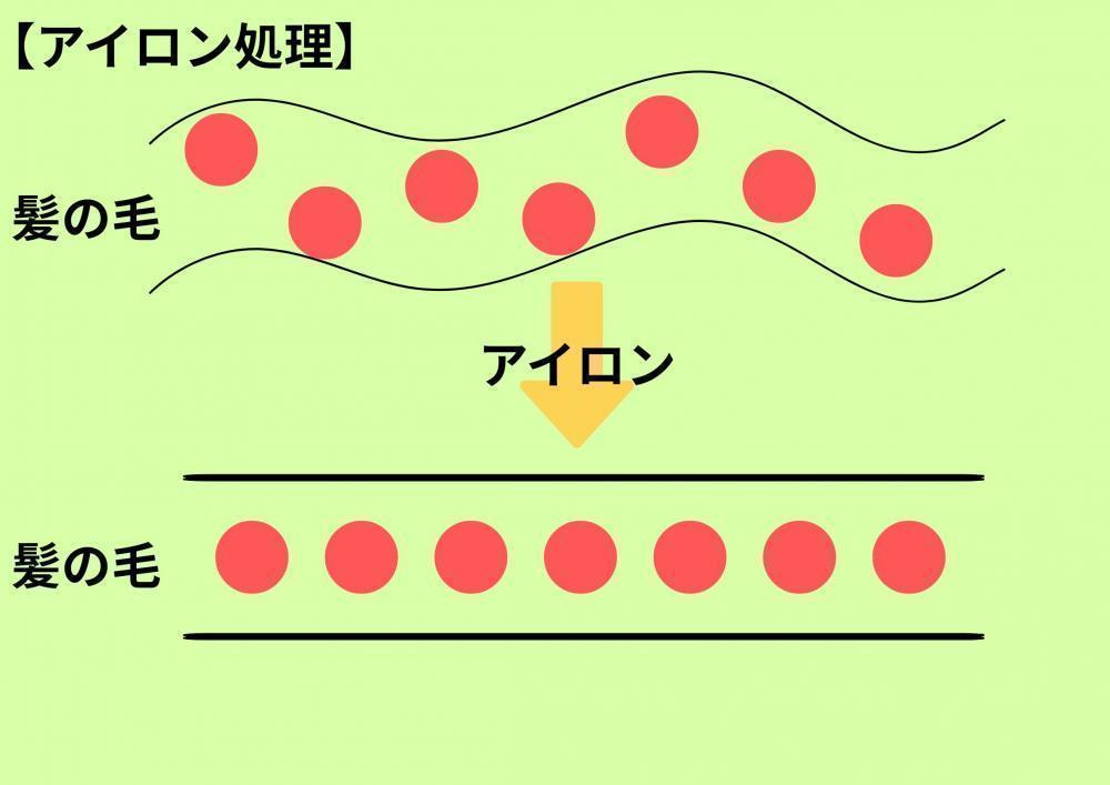 縮毛矯正の仕組み②アイロンで形を整える