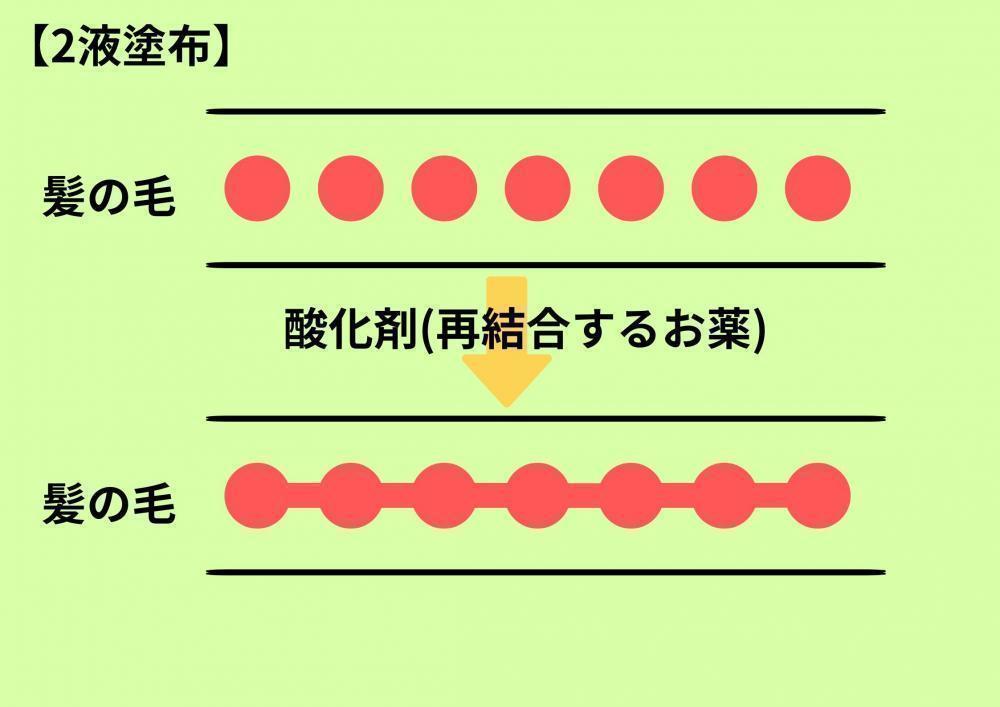 縮毛矯正の仕組み③酸化剤で再び結合をつなぐ